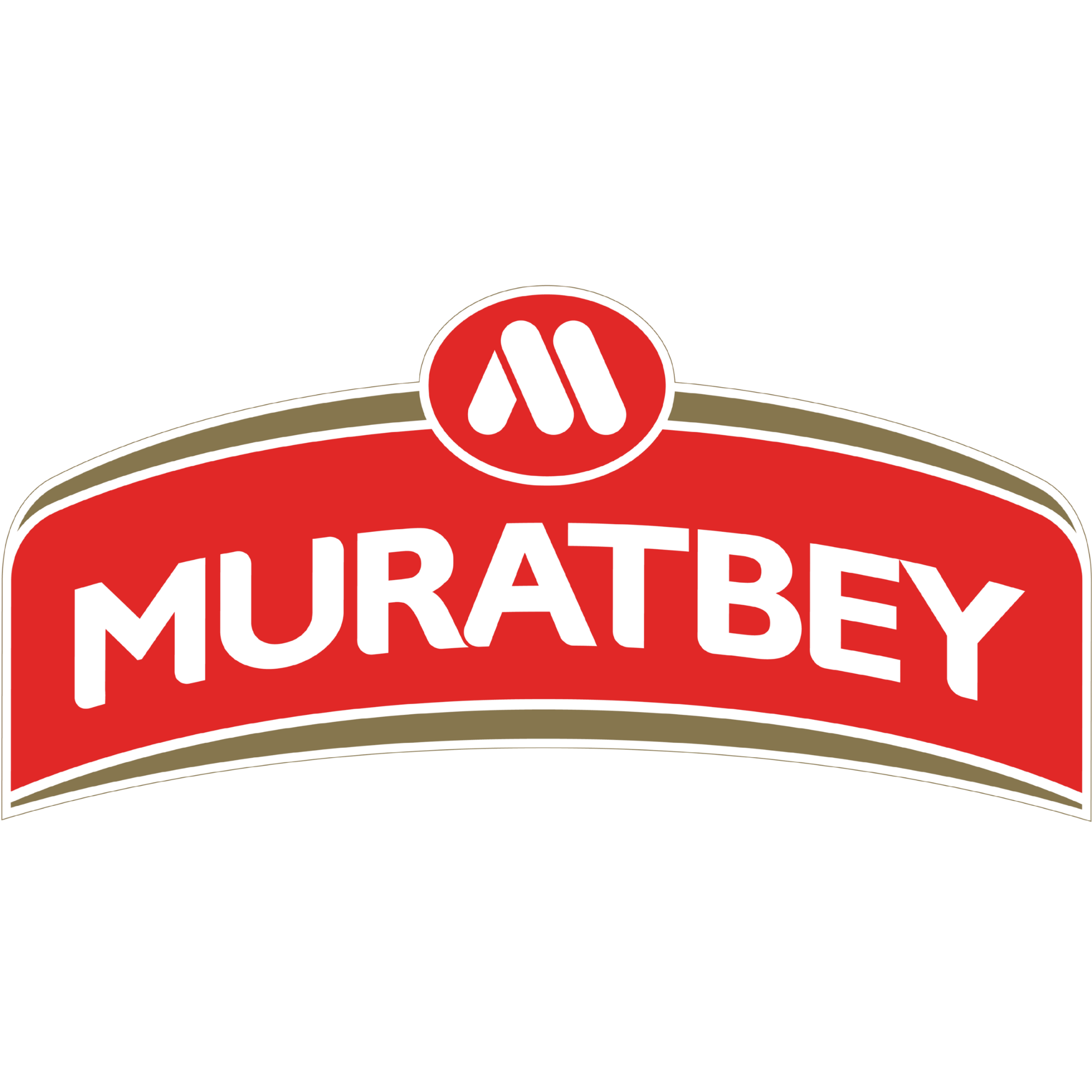 Brand Logo 5