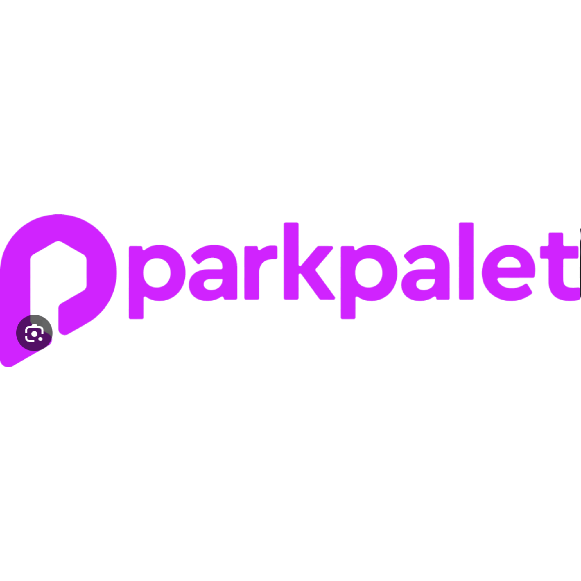 Partner Logo 1