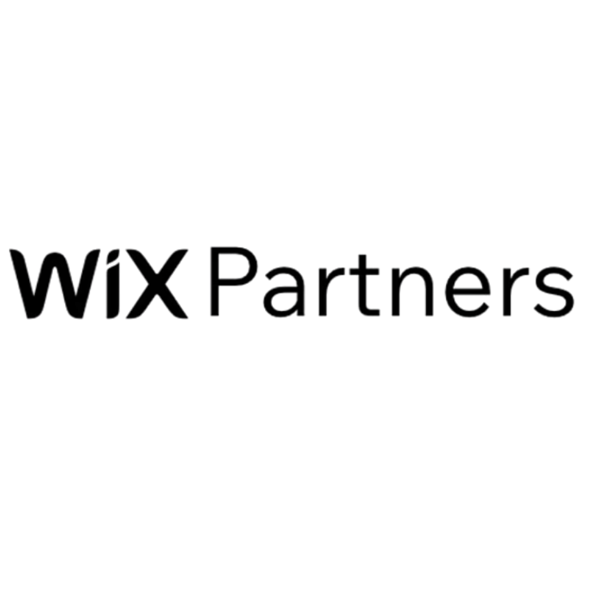 Partner Logo 0